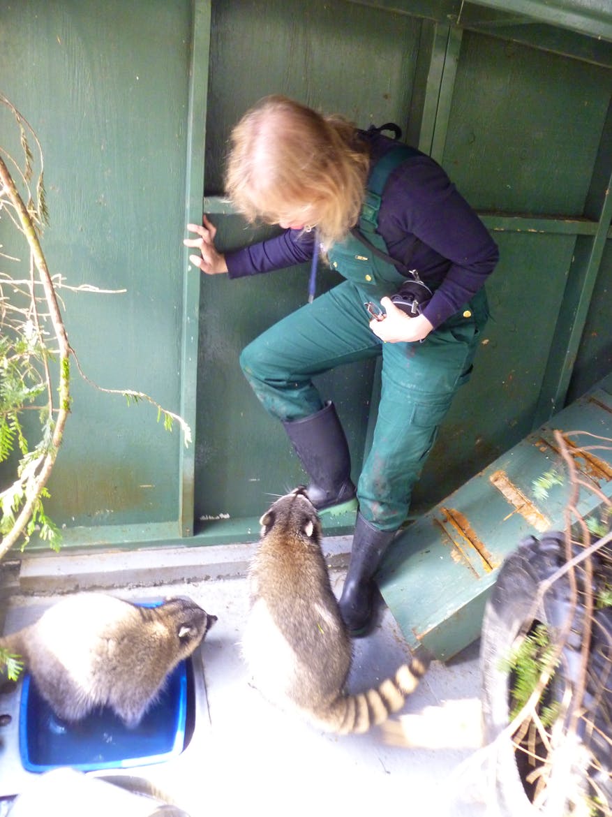 Critter Caretaker Volunteer in Canada 2025