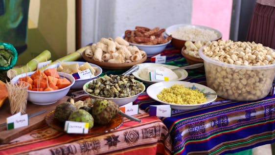Chef or Nutritionist in Bolivian Amazon
