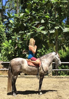  Equine Yoga & Horsemanship Learning Experience