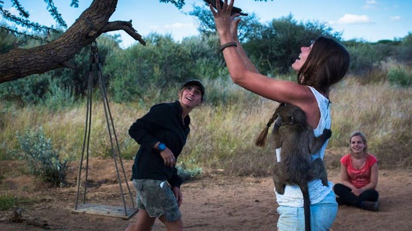 Wildlife Sanctuary Supporter Freiwilligenarbeit In Namibia