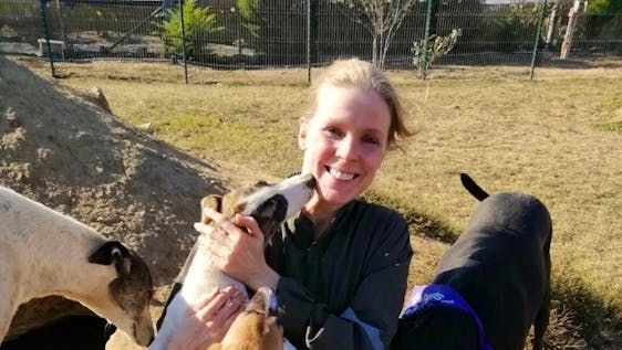 Vrijwilligerswerk in Chili Animal Care Taker in a Dog Shelter