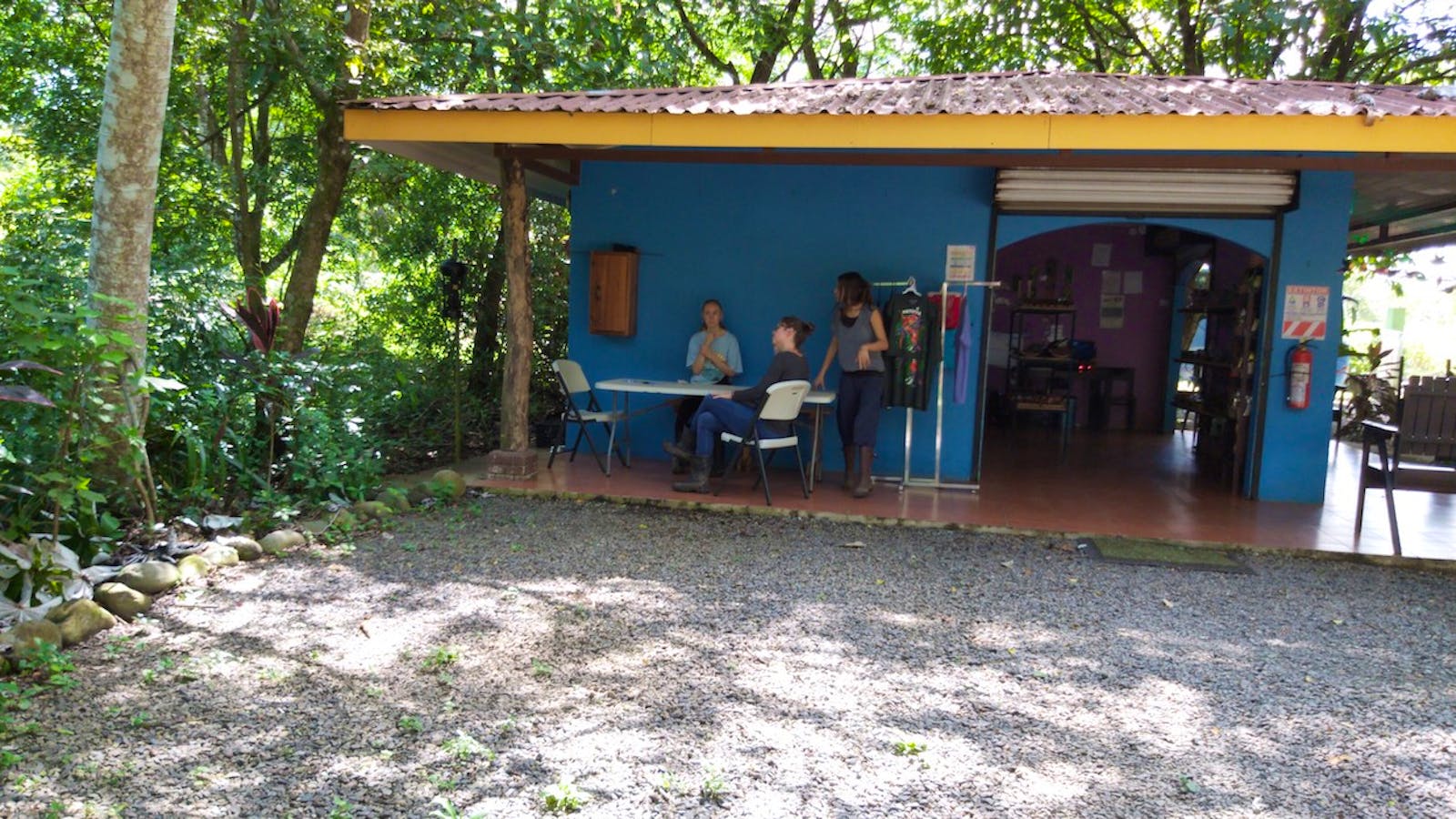 Wildlife Conservation Volunteer in Costa Rica Volunteer in Costa Rica