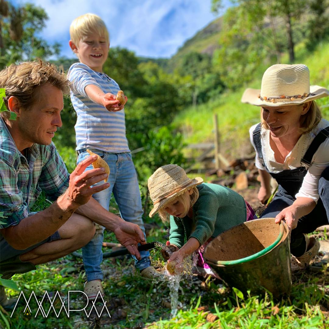 Our family working in the agroforest.