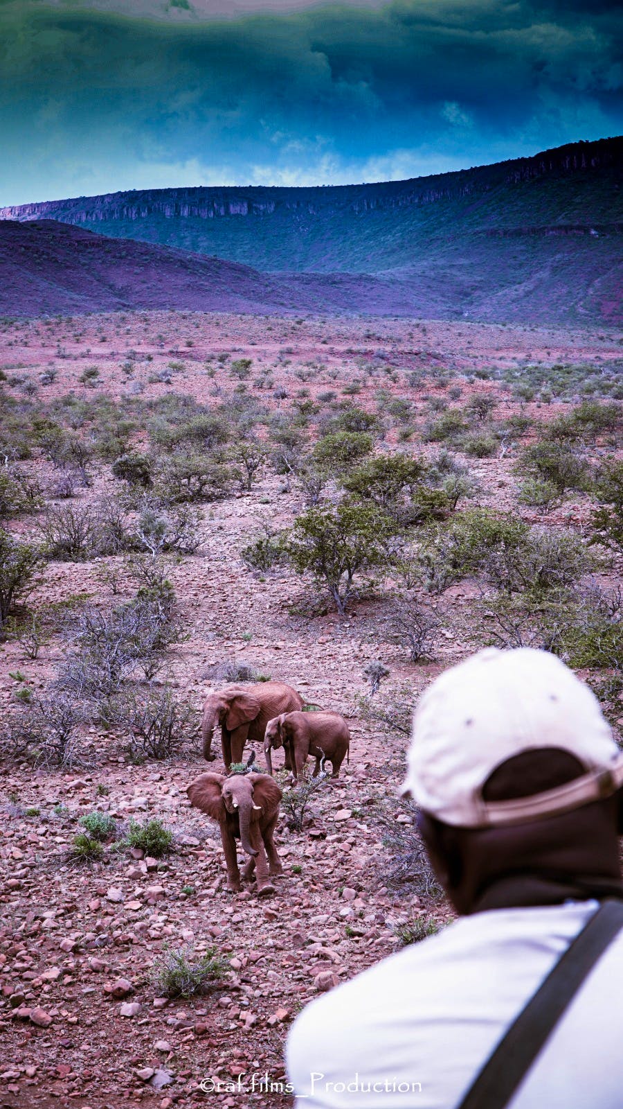 Elephant Conservation Supporter Volunteer In Namibia 2024   Patrol 