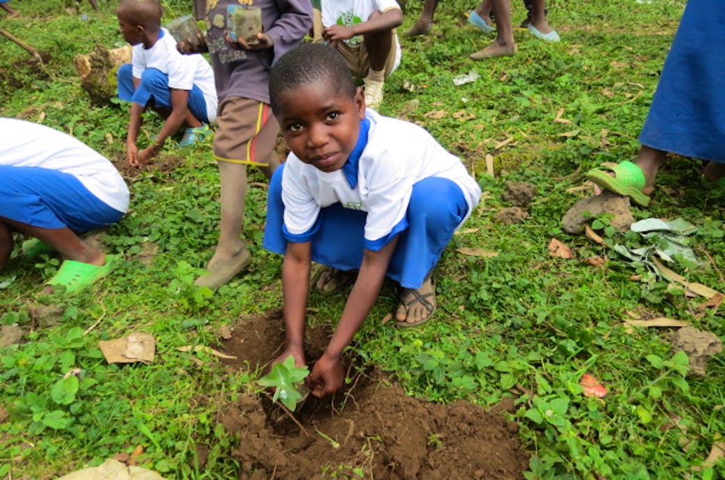 Reforestation is for everyone here in Rwanda