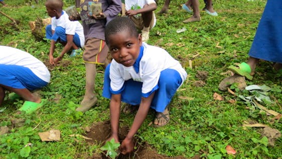 Reforestation is for everyone here in Rwanda