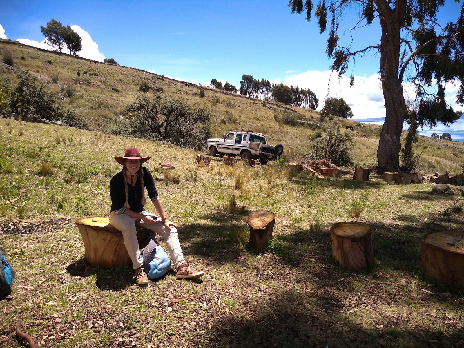 Horse Caretaker and Farm Maintenance Volunteer in Peru 2024
