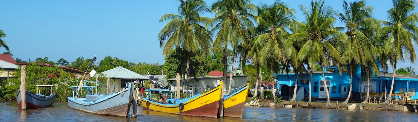 Volunteer in Suriname 🇸🇷| Top 10 Programs 2022 | Volunteer World