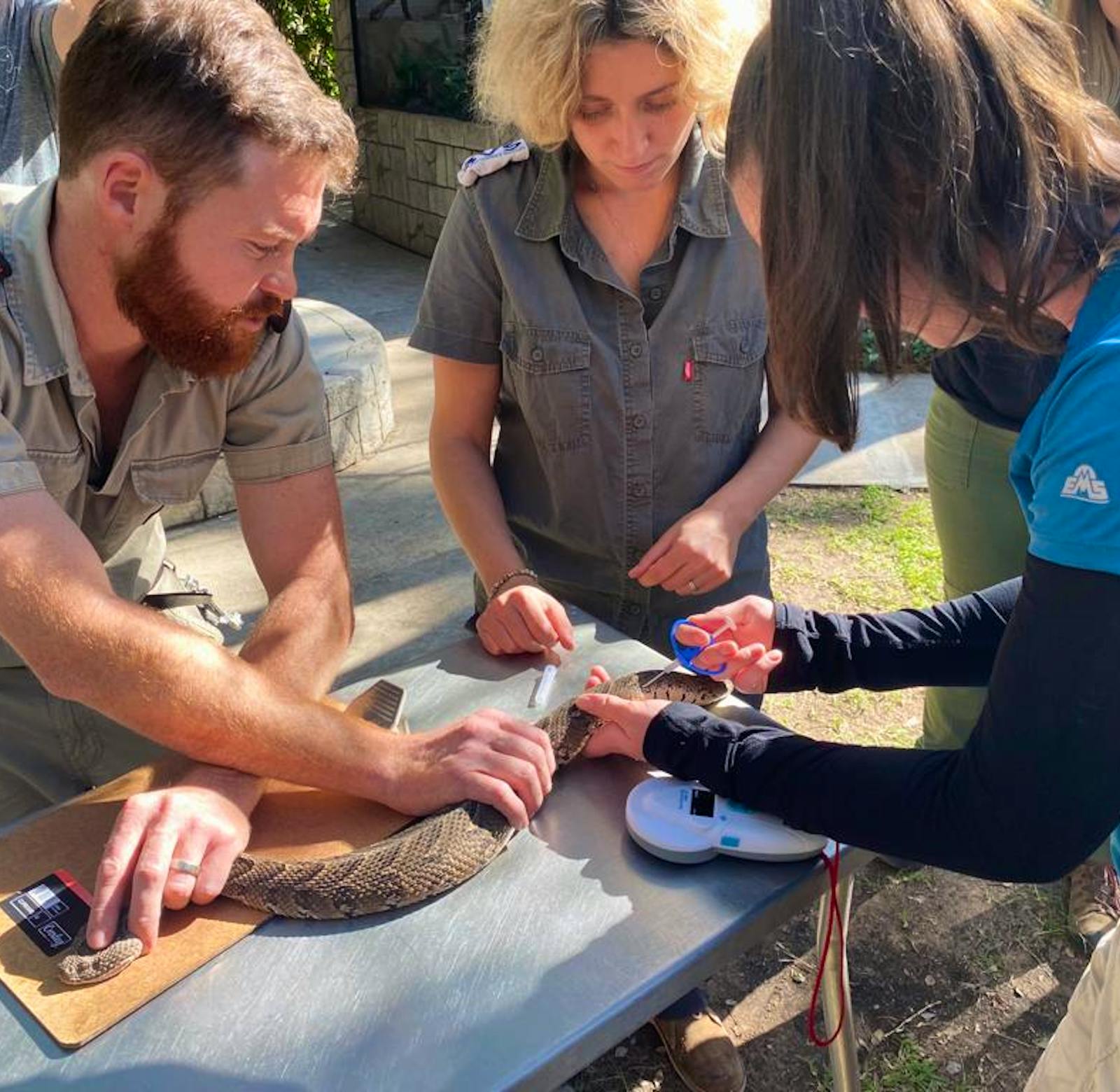 Reptile Vet Sanctuary | Volunteer in South Africa 2024