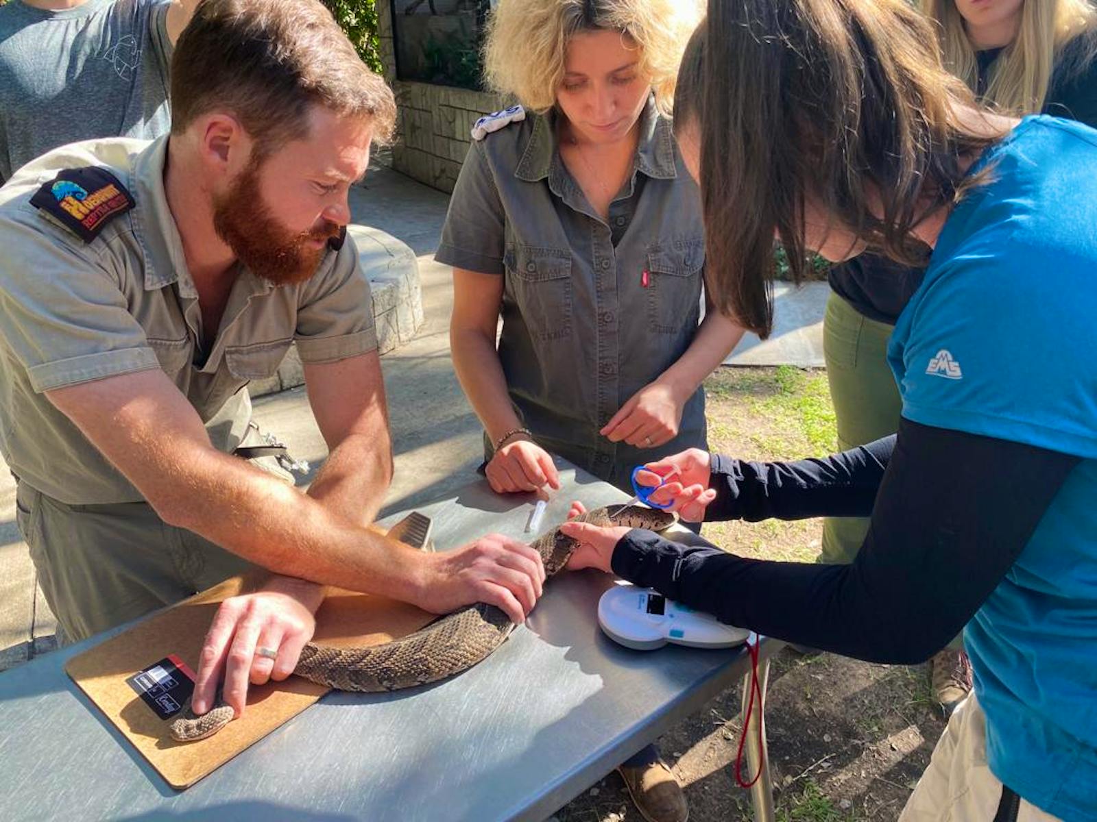 Reptile Vet Sanctuary | Volunteer in South Africa 2024