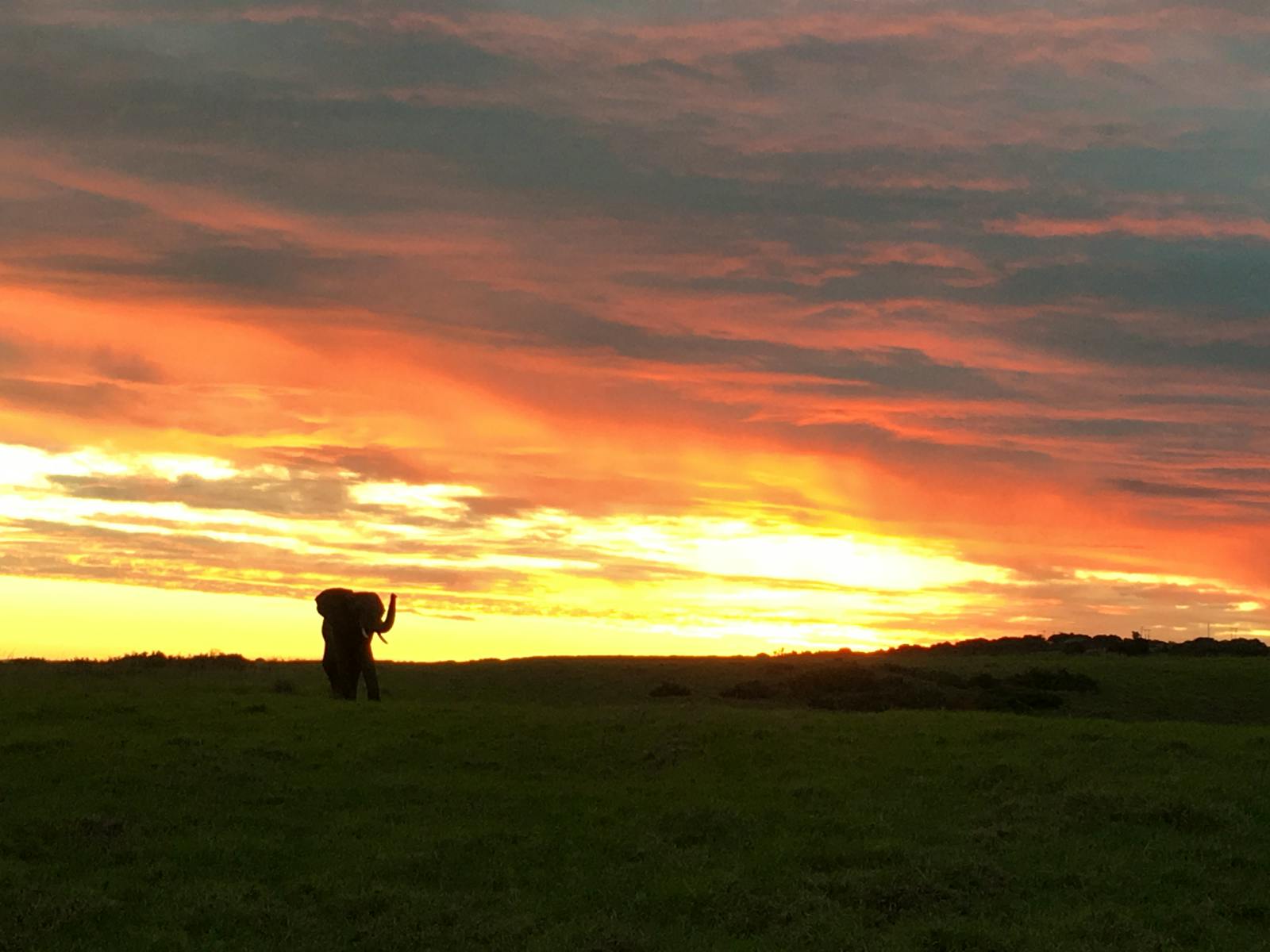 Eco Nature and Coastal Conservation | Volunteer in South Africa 2025