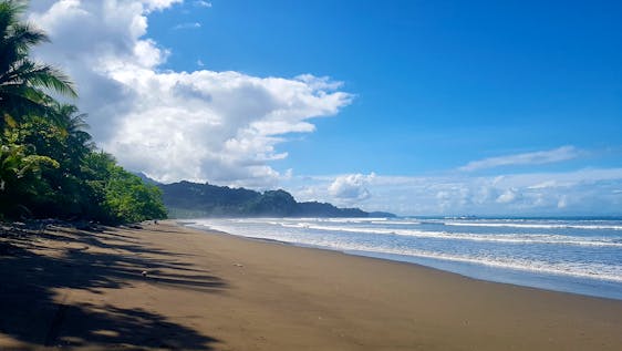 Conservation Volunteer in Costa Rica  Work in a National Park & Clean Beaches