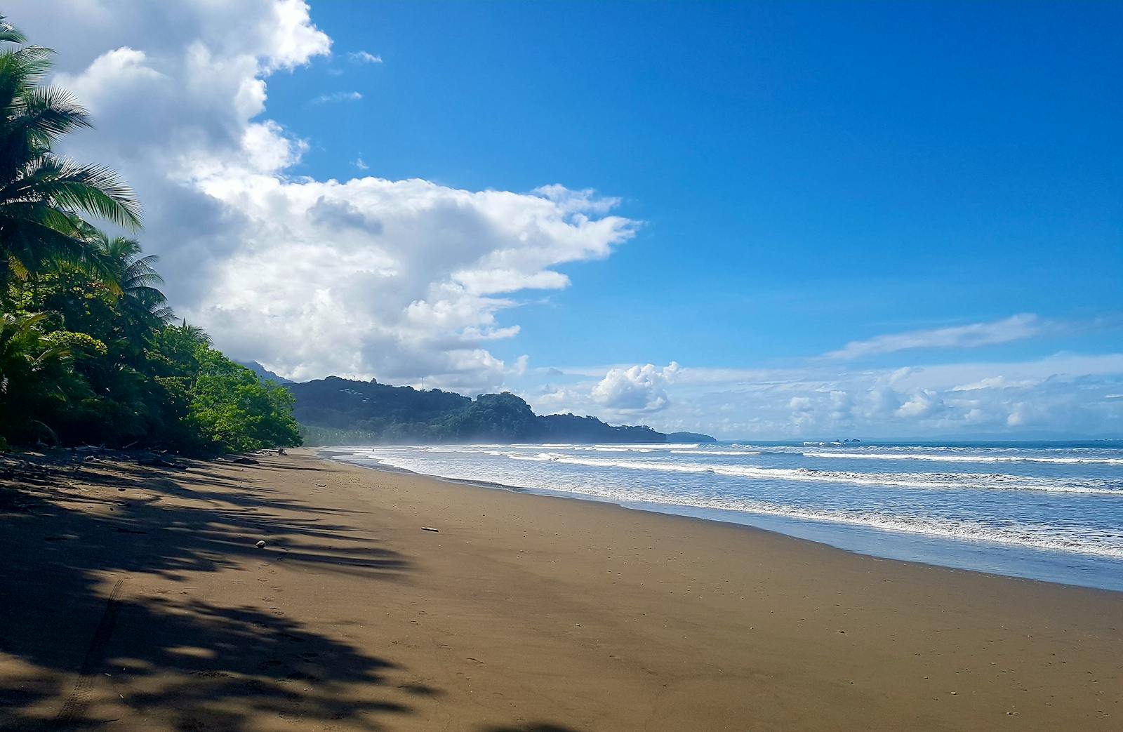 Work in a National Park & Clean Beaches | Volunteer in Costa Rica 2024