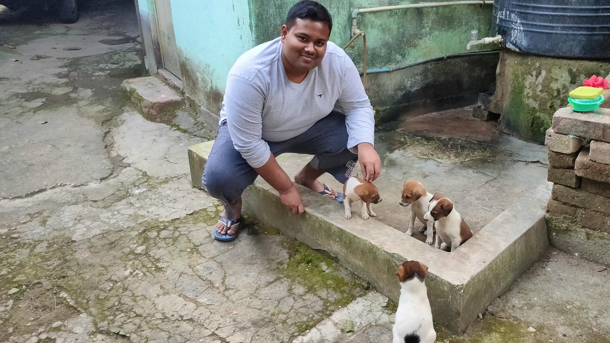 ▷ Street Dogs Care Assistant | Volunteer in India 2023