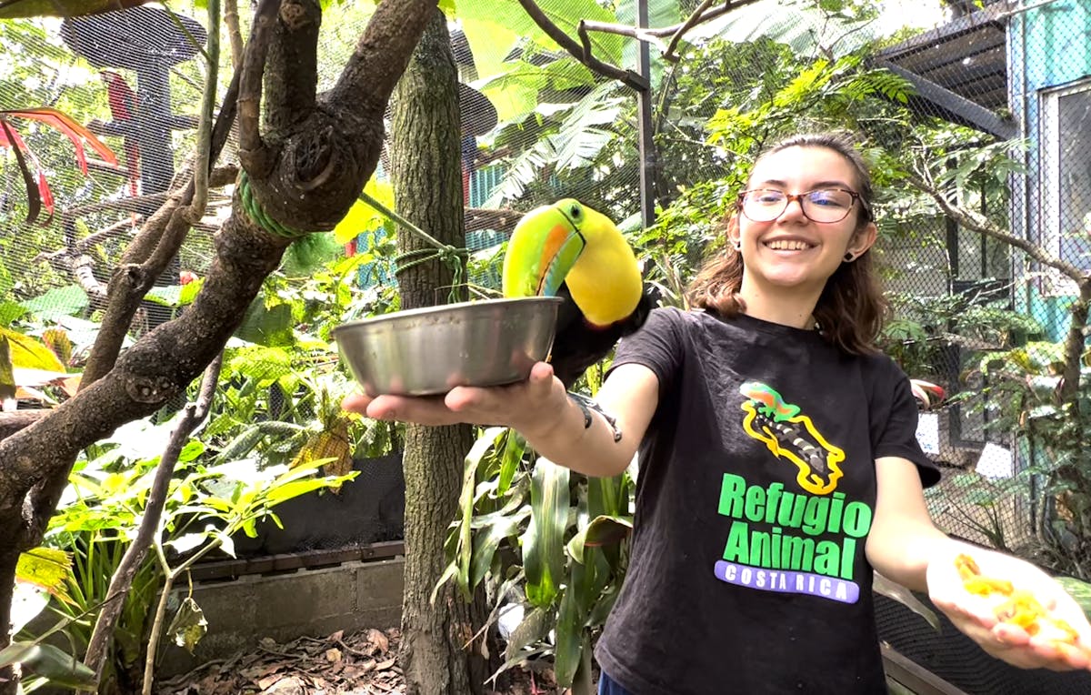 Animal Keeper Assistant | Volunteer in Costa Rica 2024