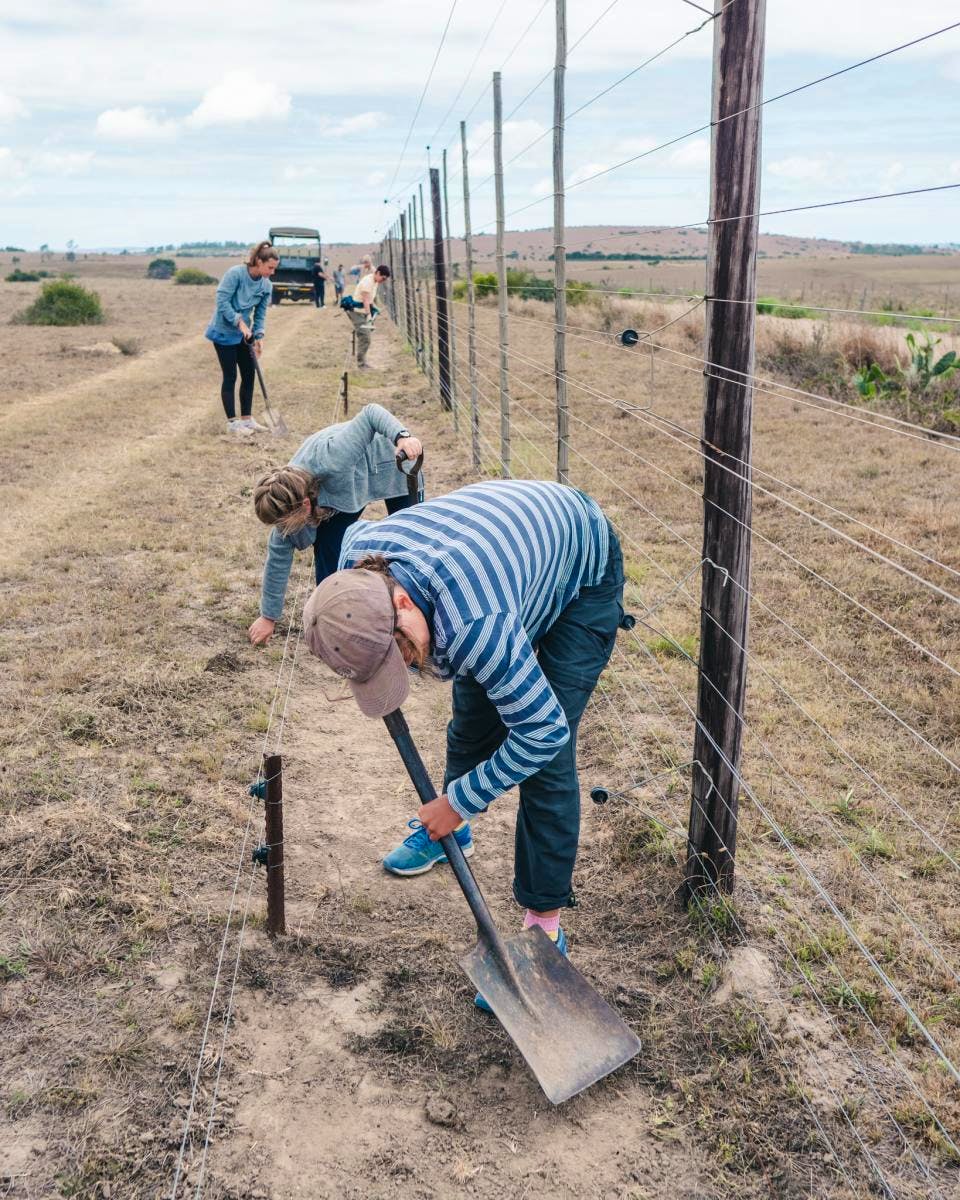 South Africa Wildlife Reserve Volunteers Volunteer In South Africa 2024   1 