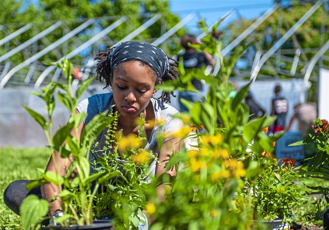 Permaculture gardening