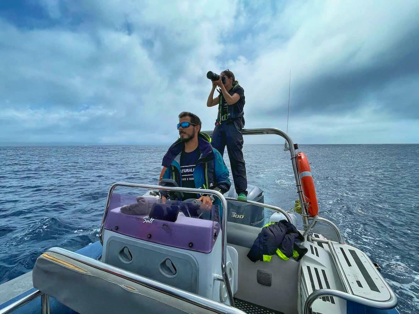 researching whales and other marine wildlife on the Azores islands.