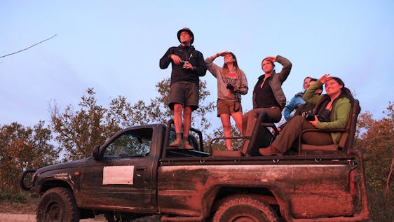 Volontariato con safari African Wildlife Conservation for Teens
