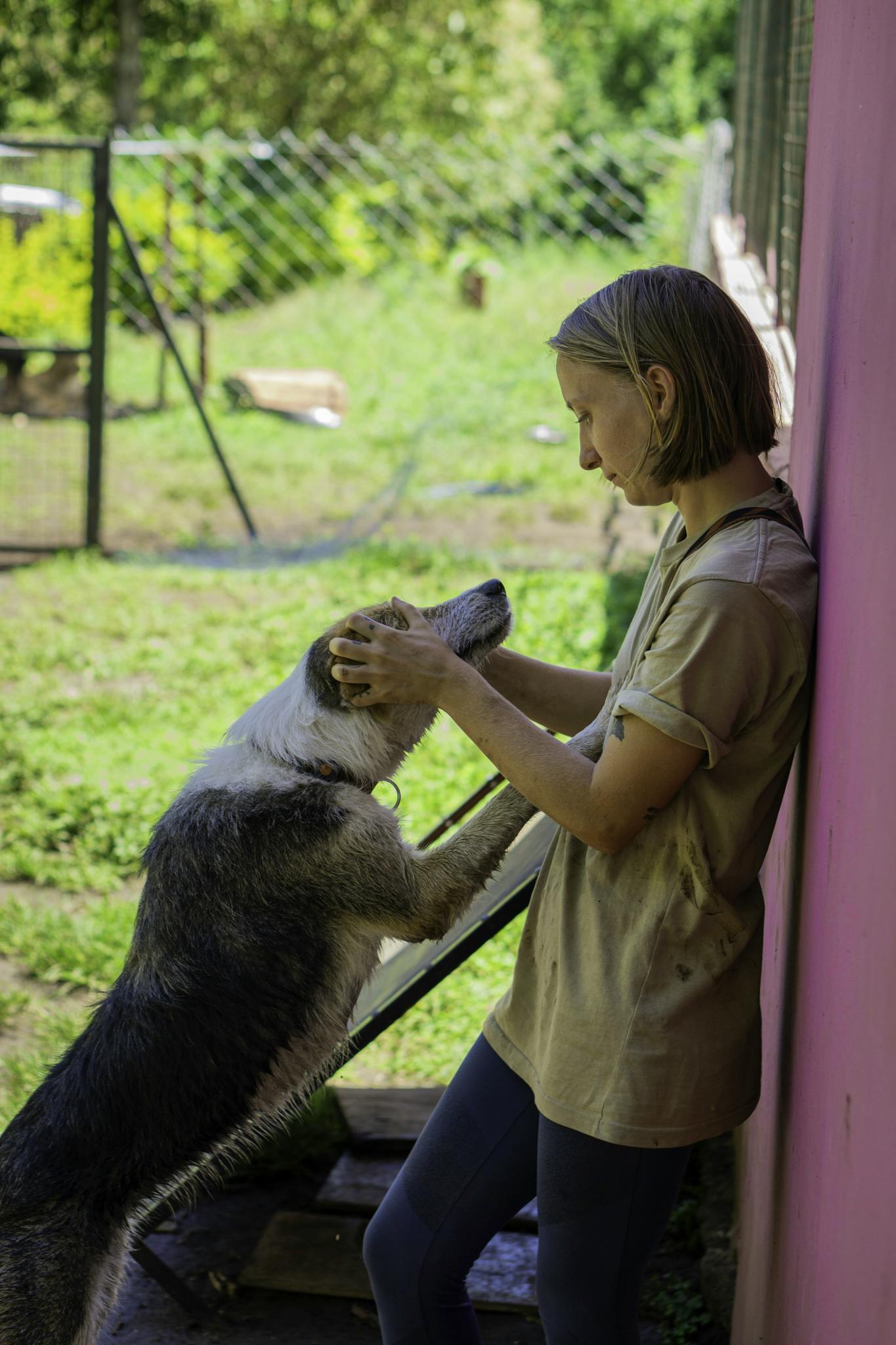 Volunteer with a dog, the best friend of humans