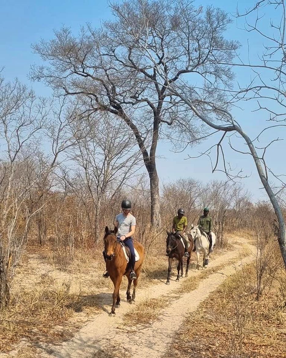 Wildlife Conservation with Horses Volunteer in Zimbabwe 2024