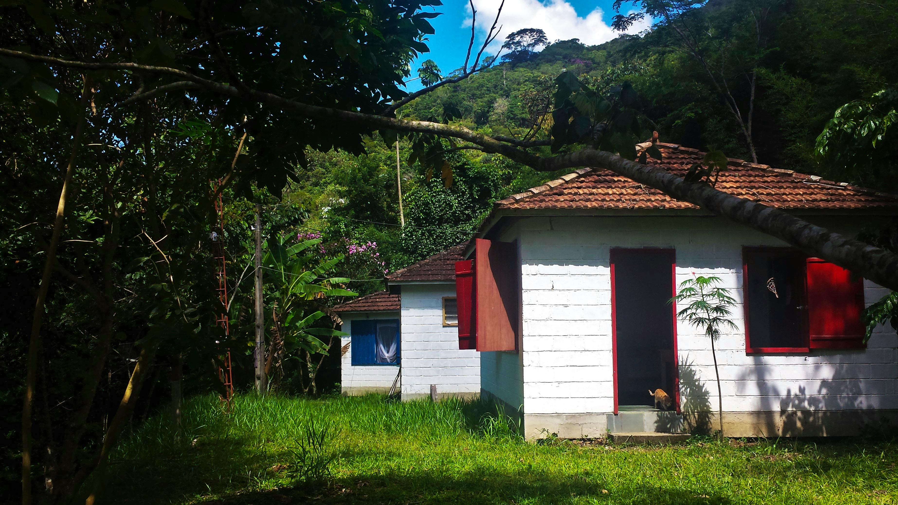 Restoring Brazilian Atlantic Rainforest Volunteer In Brazil 2024   IMG 20170313 WA0012 