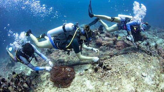 Korallenriff Schutzprojekte Marine Conservation & Restoration Assistant
