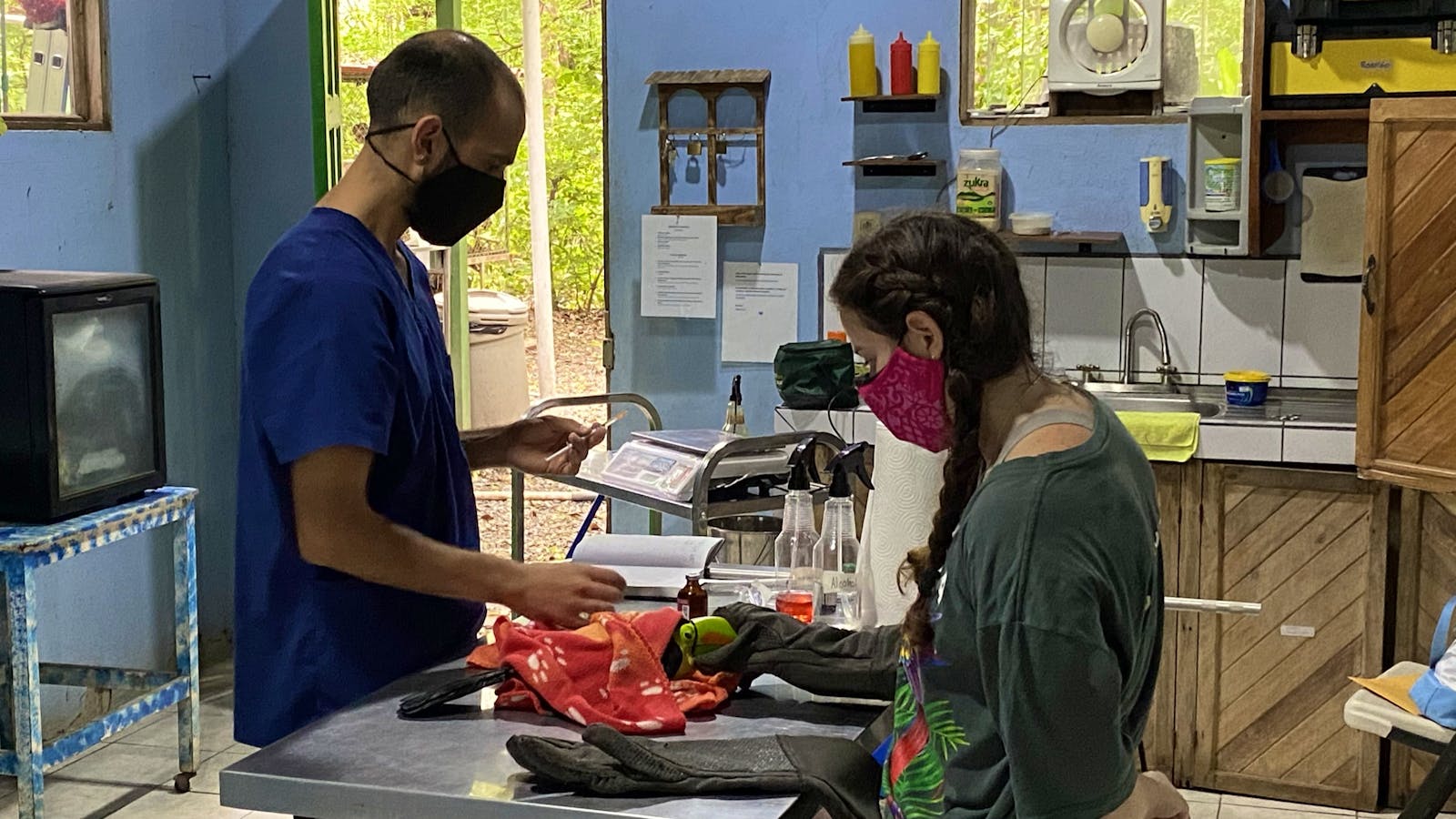 Veterinary Internship With Wildlife Volunteer in Costa Rica 2024