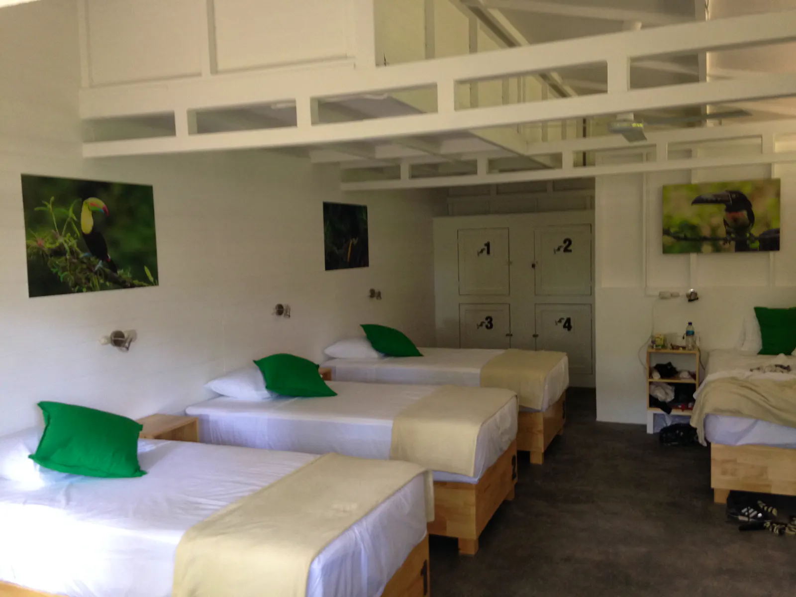 Animal Rescue & Release Center Volunteer in Costa Rica 2024