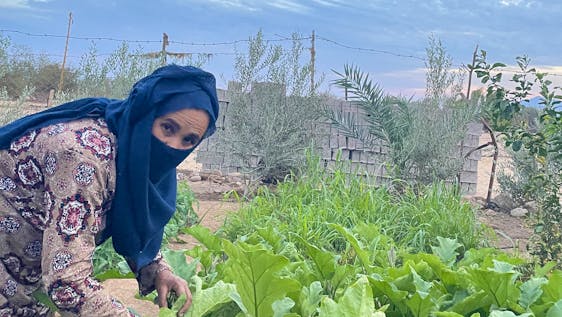 Volontariato per l'Empowerment delle Donne Women Empowerment Supporter - Bedouin Community