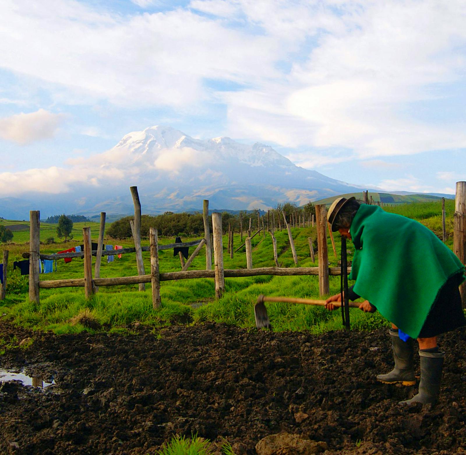 Join the Food Revolution | Volunteer in Ecuador 2025
