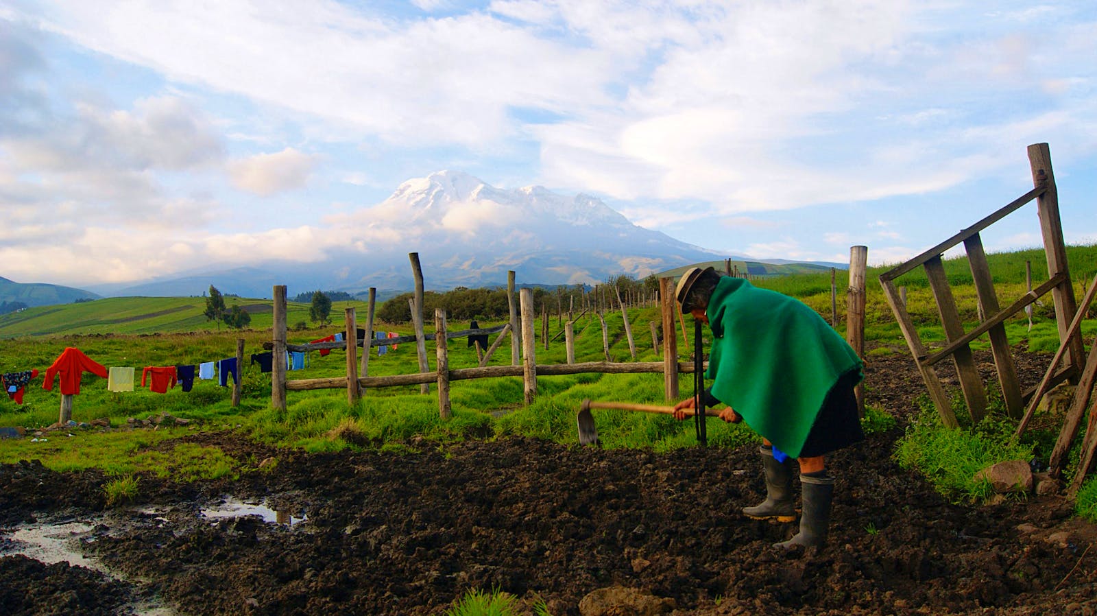 Join the Food Revolution | Volunteer in Ecuador 2025
