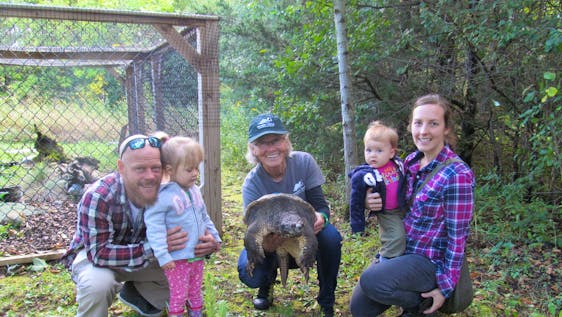 Wildlife Conservation in Canada Turtle Caretaker