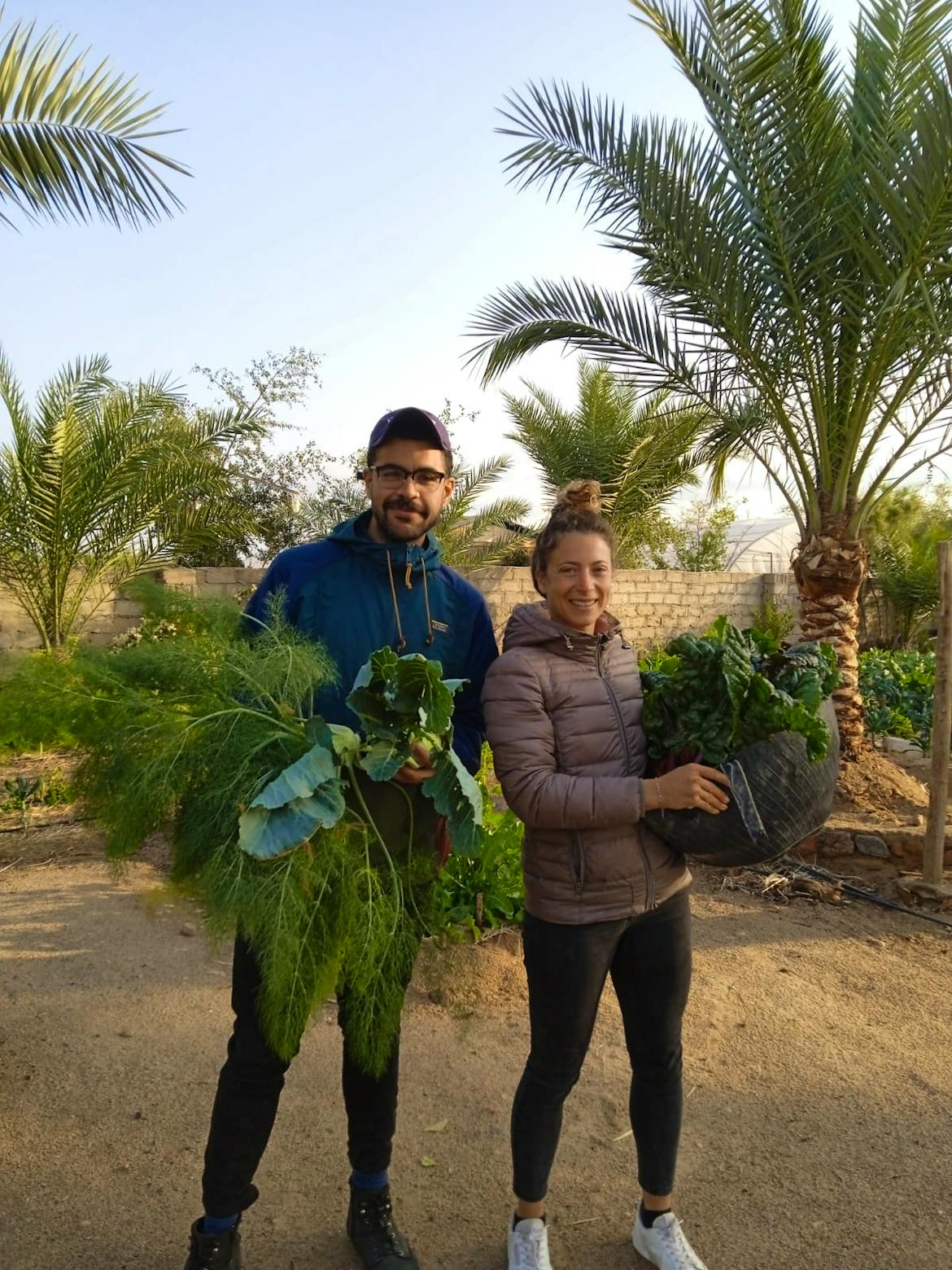 Regenerative Agriculture in Sinai Desert Volunteer in Egypt 2024