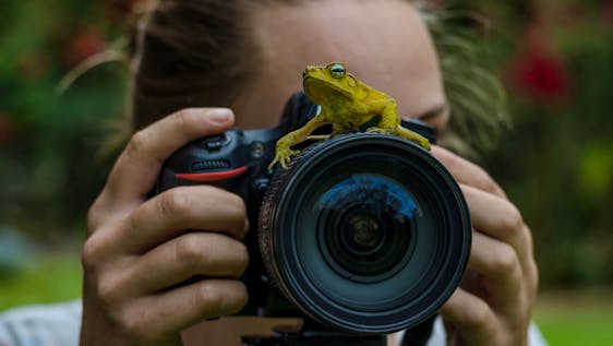 Photography Internships Abroad Photographers/Movie Producers