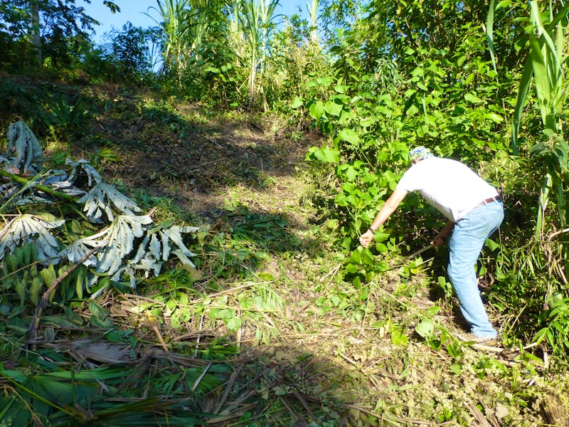 Farming and Beekeeping Support needed | Volunteer in Colombia 2024