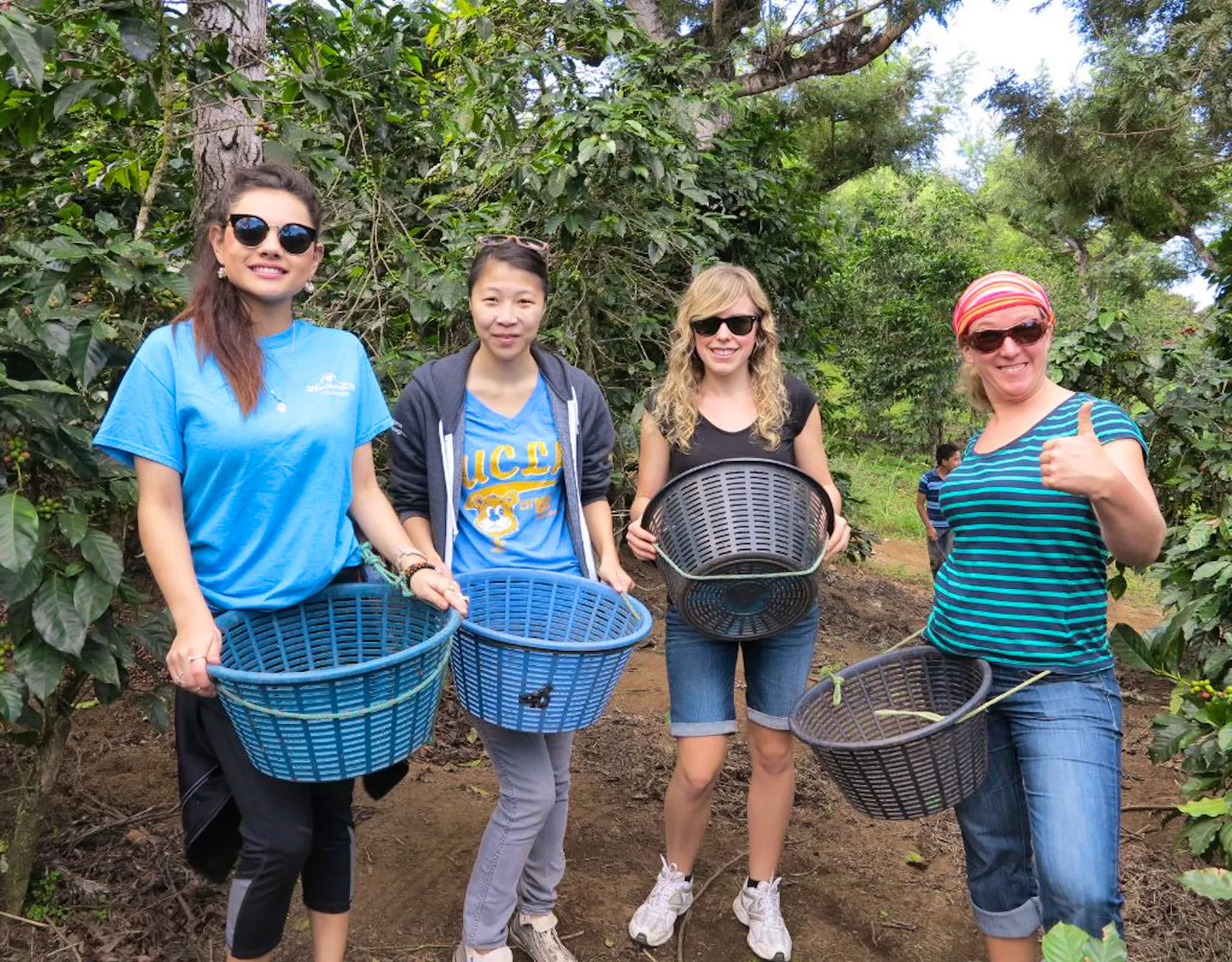 Sustainable Farming and Agriculture Work | Volunteer in Costa Rica 2025