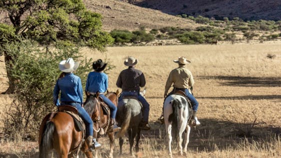 Voluntariado en Namibia Western horseriding experience