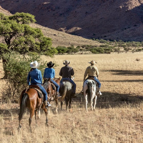 Western Horseriding Farm Life Experience Volunteer in Namibia 2025
