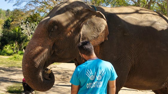  Elephant Care and Protection Supporter