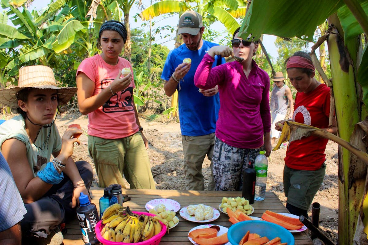Farm to Table Volunteer in Thailand 2024