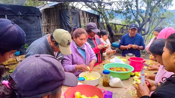 Volunteer in Mexico Environmental Restoration & Community Resilience