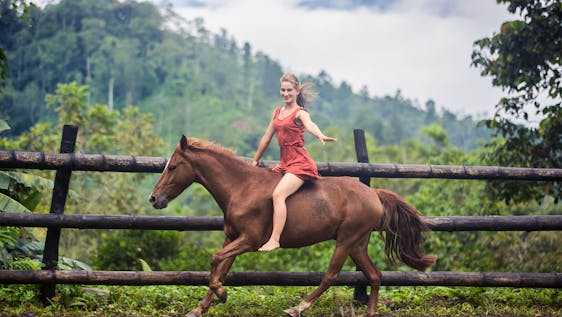 Volunteer in Costa Rica with Animals Natural Horsemanship and Farmwork on Eco Lodge