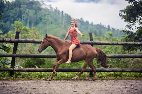  Natural Horsemanship - Volunteer at horse farm