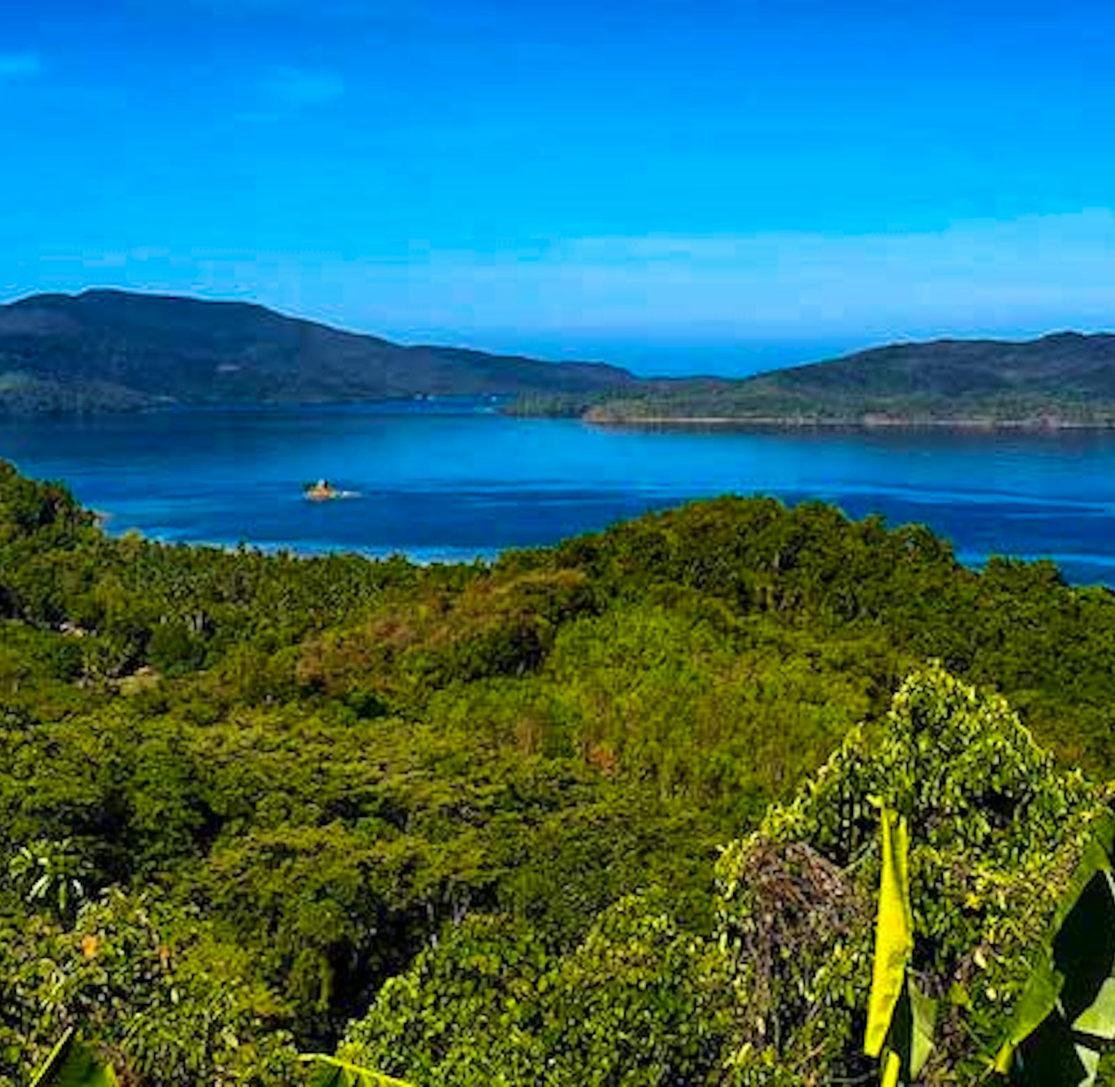 Environmental Conservationist Volunteer In The Philippines 2024 environmental-conservationist-volunteer-in-the-philippines-2024