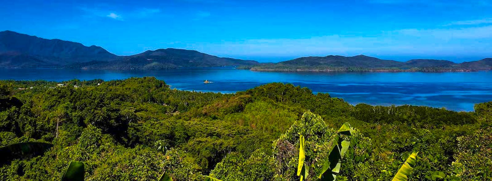 environmental-conservationist-volunteer-in-the-philippines-2024