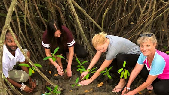 Volunteer in Sri Lanka Mangrove Conservation Supporter