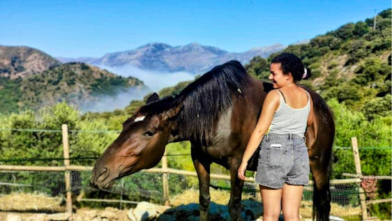 Vrijwilligerswerk in Spanje Force-free Equine Sanctuary Assistant